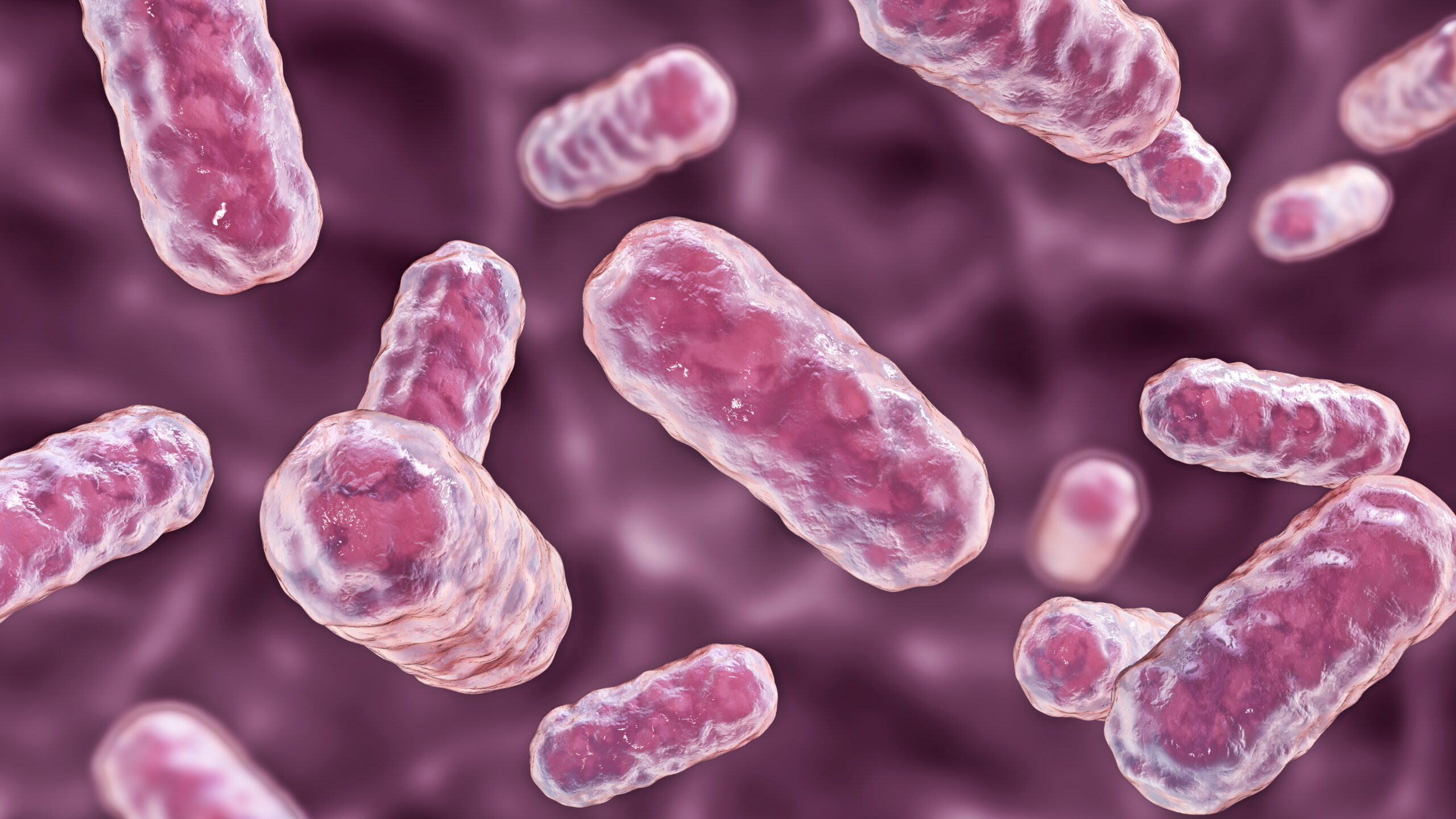 Citrobacter: coliformi totali – inquinamento acqua potabile