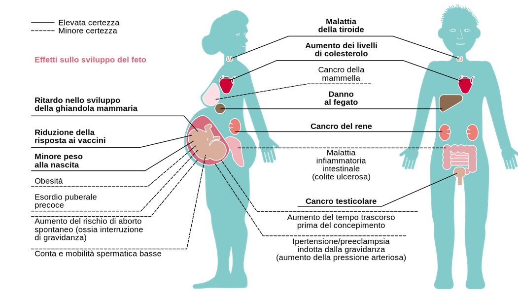 PFAS e acqua destinata al consumo umano e loro rimozione