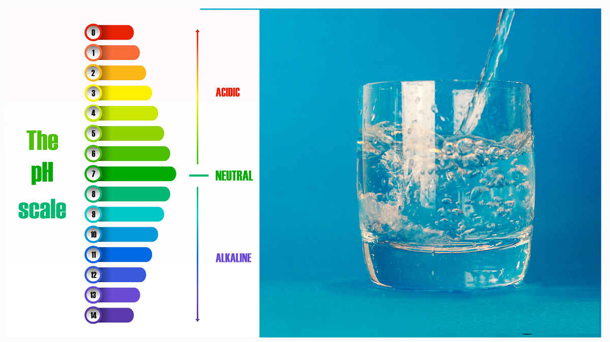 ACQUA ALCALINA